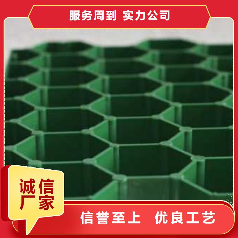 植草格【单向塑料土工格栅】价格实惠