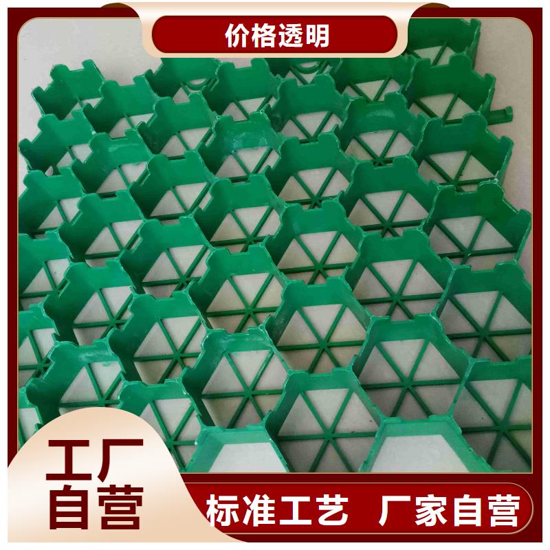 恒丰双向塑料土工格栅【 植草格-PP焊接土工格栅厂家】