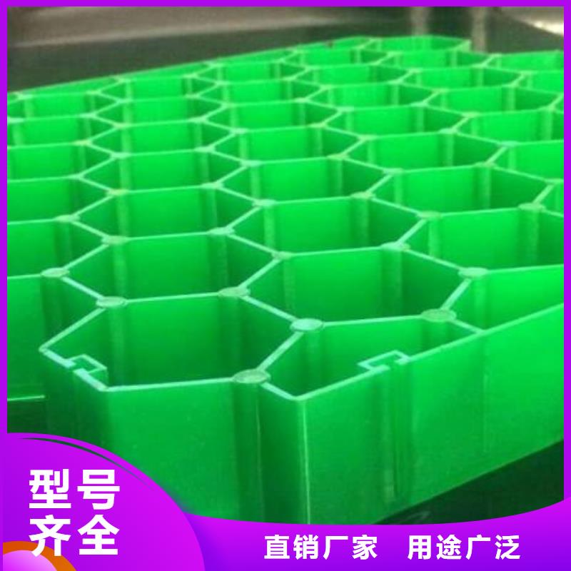 植草格PP焊接土工格栅定制速度快工期短