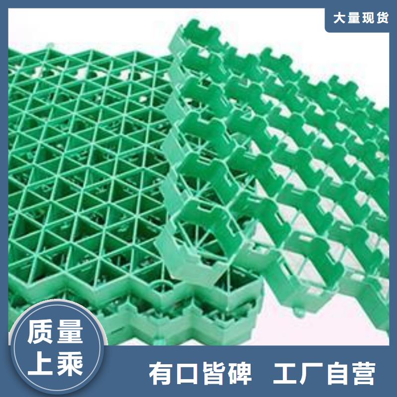 植草格【单向塑料土工格栅】价格实惠
