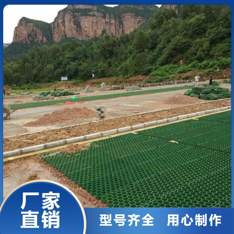 植草格凸结点钢塑土工格栅信誉至上