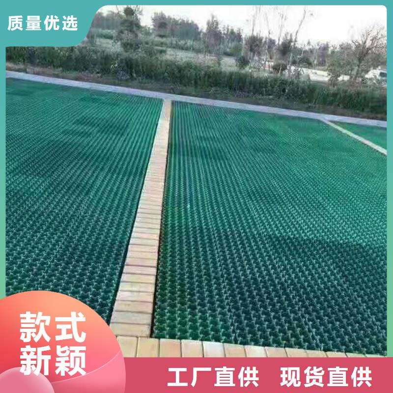 植草格【玻纤土工格栅】拒绝伪劣产品