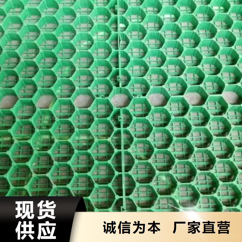 植草格【玻纤土工格栅】拒绝伪劣产品