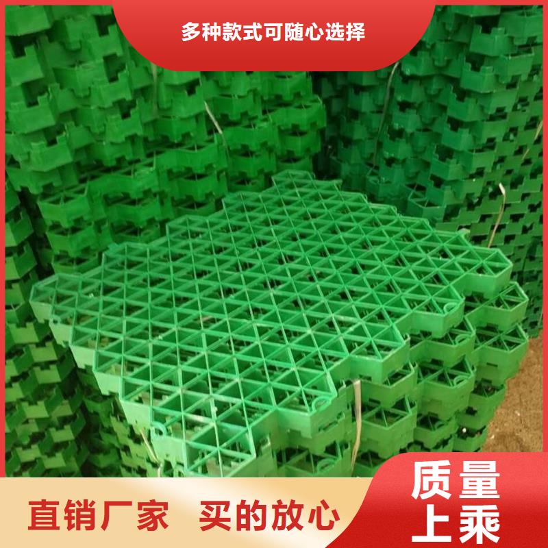 植草格【玻纤土工格栅】拒绝伪劣产品