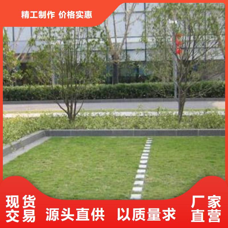 【植草格】PVC防水卷材优良材质