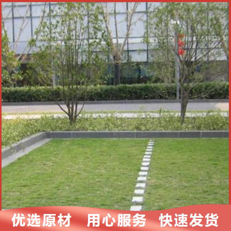 植草格土工格室价格低