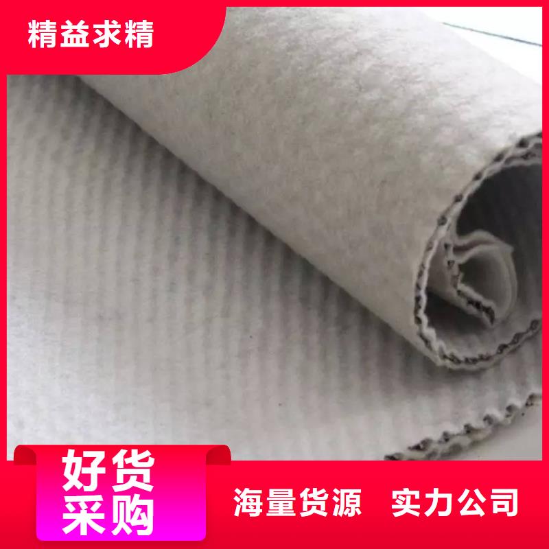 三维复合排水网土工格室闪电发货