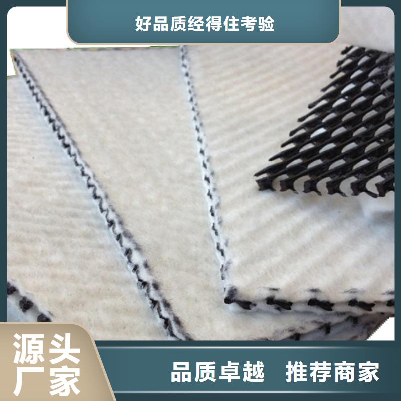【三维复合排水网双向拉伸塑料格栅高品质诚信厂家】