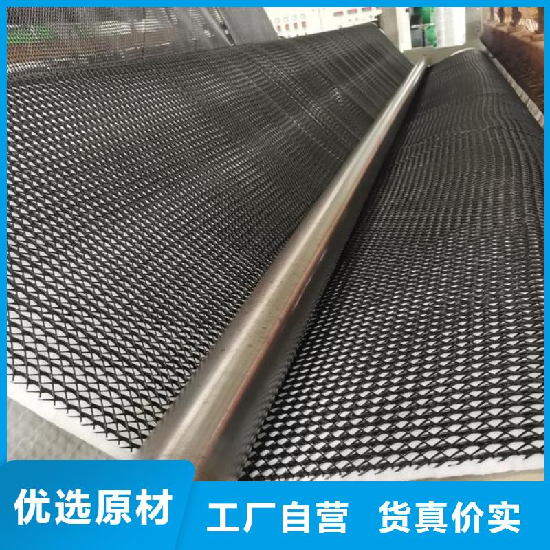 三维复合排水网_【三维植被网】定制不额外收费 恒丰塑业(杭州市分公司)