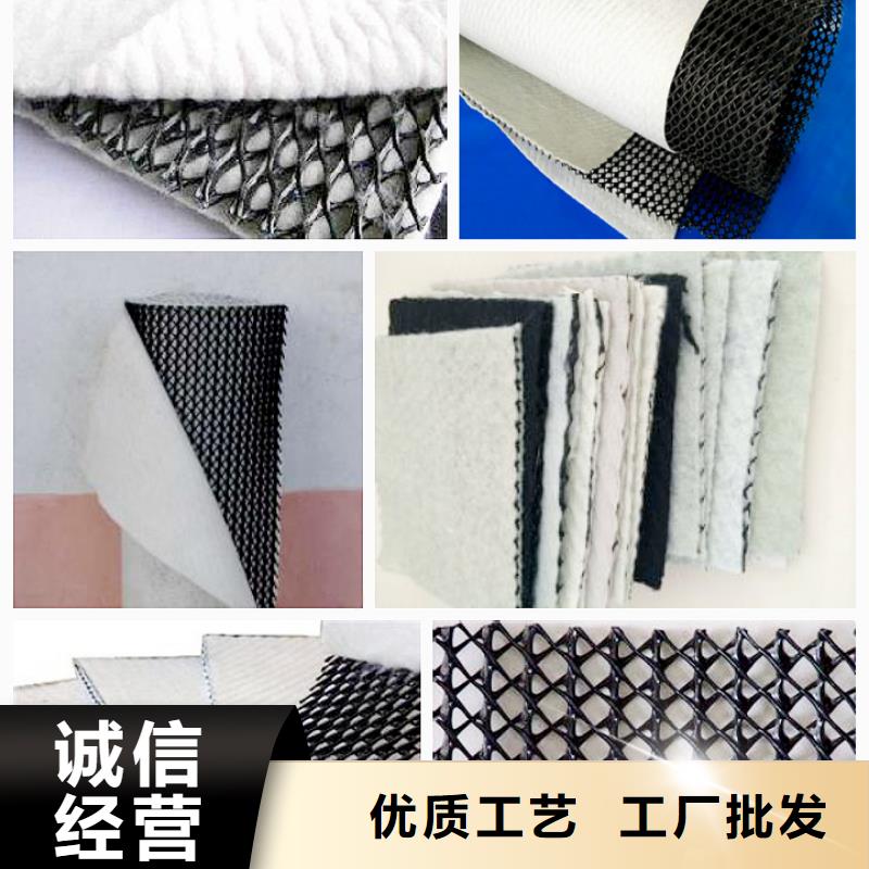 三维复合排水网_【三维植被网】定制不额外收费 恒丰塑业(杭州市分公司)