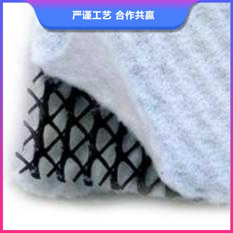 三维复合排水网_三维土工网垫现货齐全售后无忧