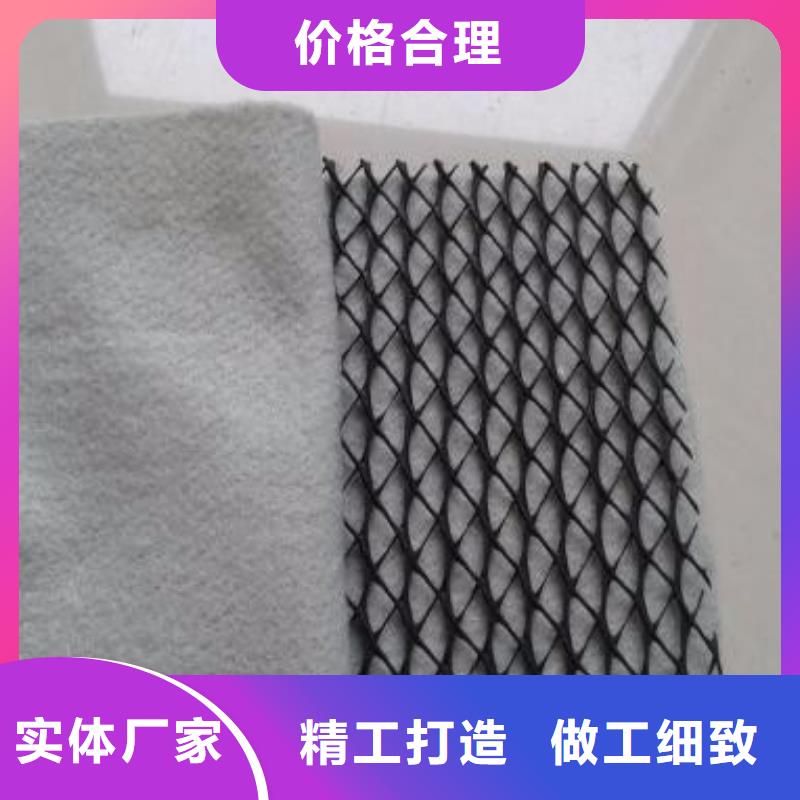三维复合排水网_双向拉伸塑料格栅采购