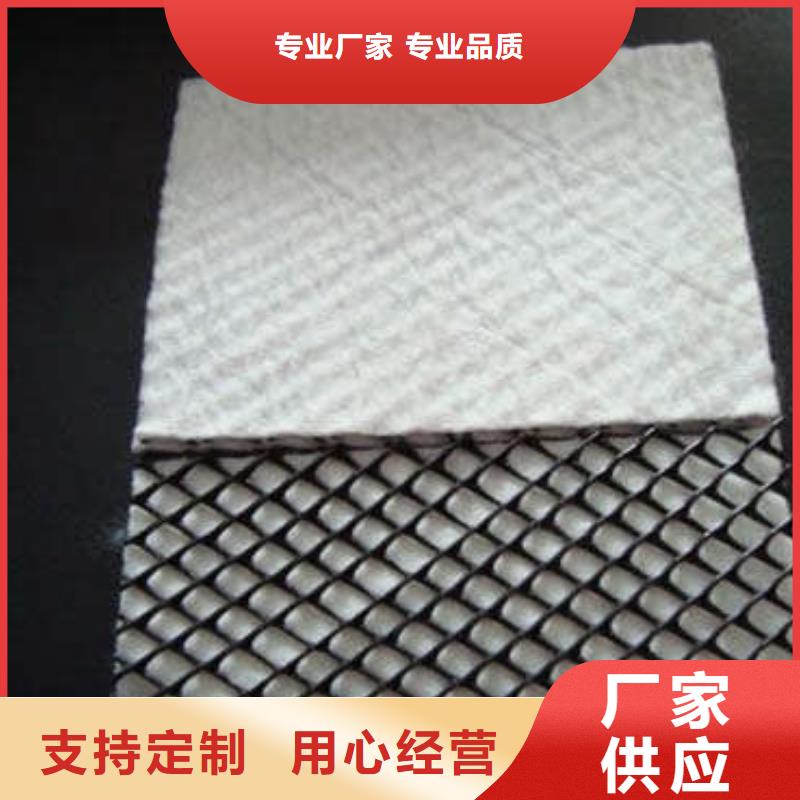 三维复合排水网复合土工膜应用领域