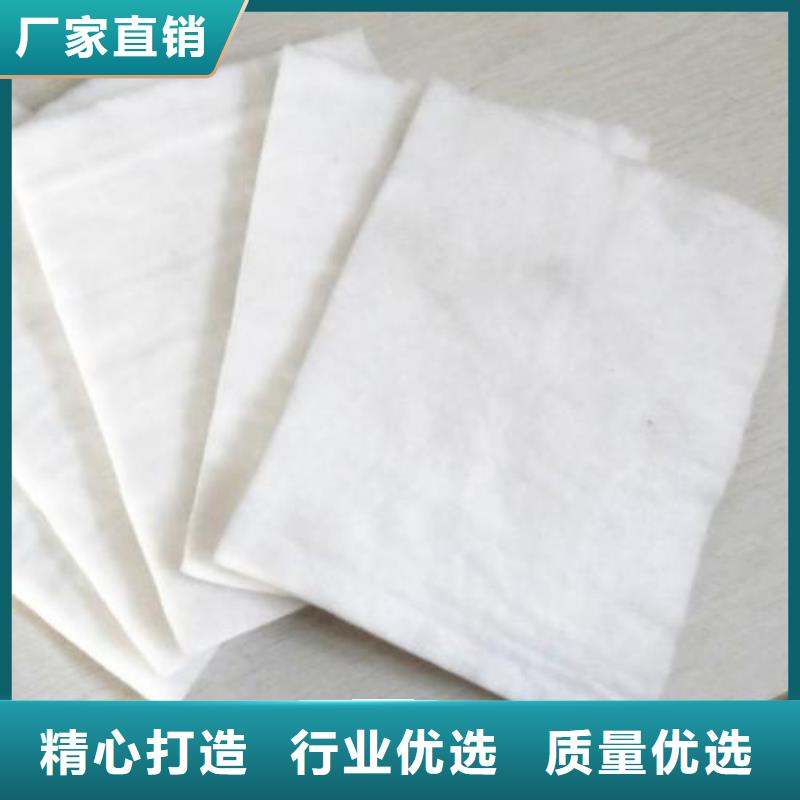 【土工布】 塑料土工格栅优选厂商同城供应商