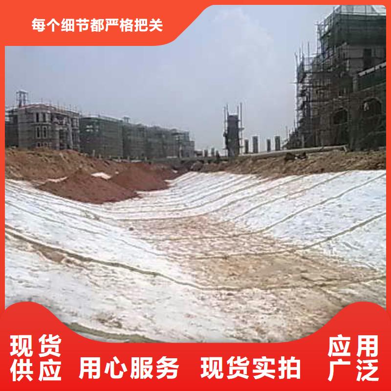 【 膨润土防水毯 钢塑土工格栅质保一年】本地生产厂家