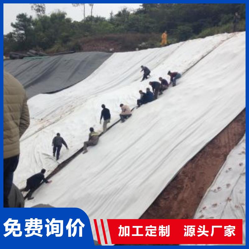 膨润土防水毯【钢塑土工格栅】用的放心