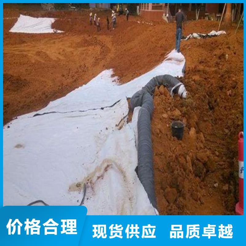 【 膨润土防水毯 钢塑土工格栅质保一年】本地生产厂家