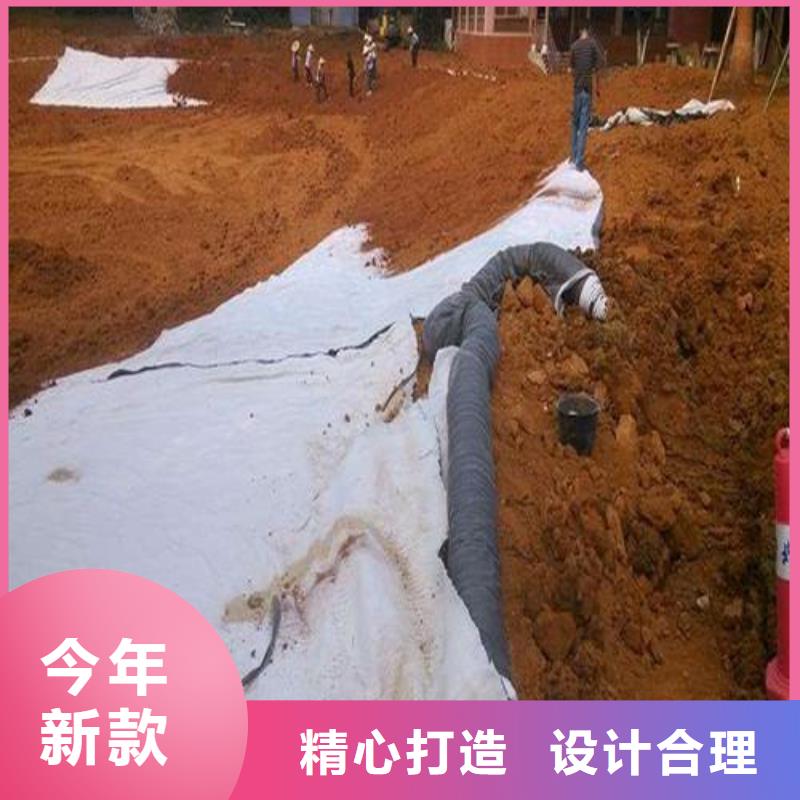 膨润土防水毯钢塑土工格栅就近发货