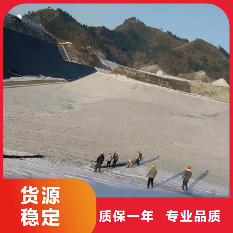 【膨润土防水毯钢塑土工格栅厂家直销值得选择】