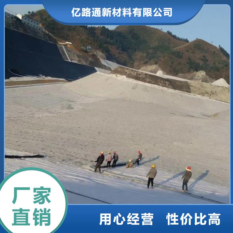 【膨润土防水毯玻纤土工格栅产地货源】