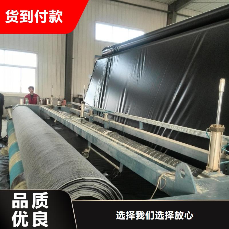膨润土防水毯复合土工膜精品优选