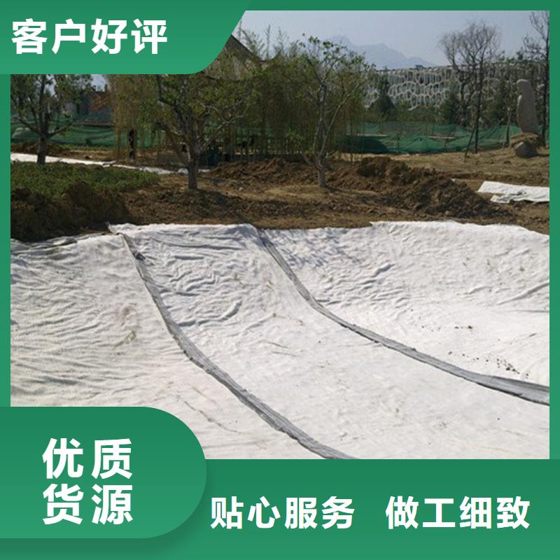 【膨润土防水毯_钢塑土工格栅实地大厂】