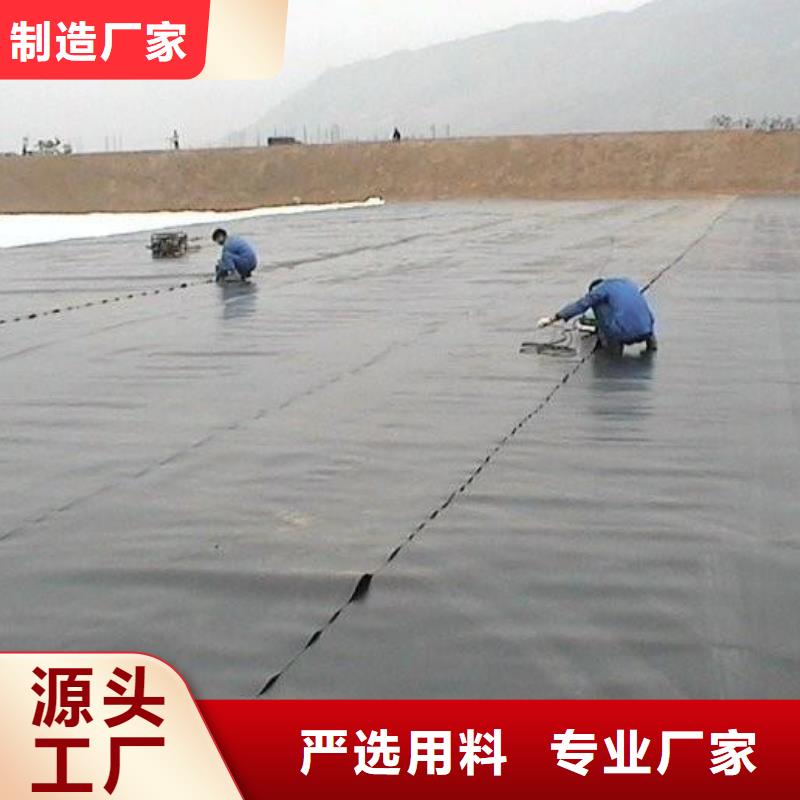 双向塑料土工格栅亿路通土工膜-【养护土工布】畅销当地