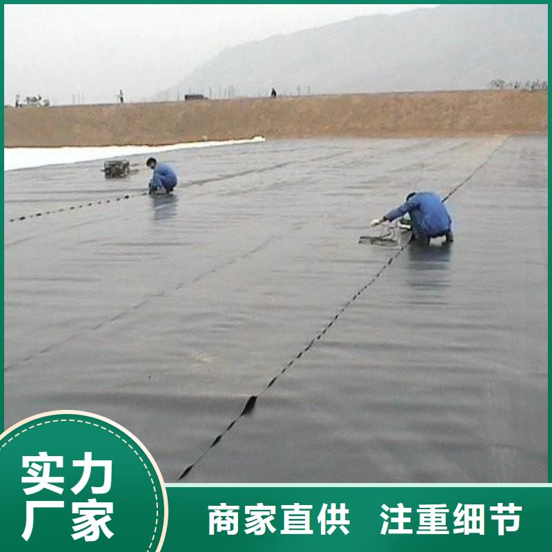 【土工膜,透水土工布质优价廉】