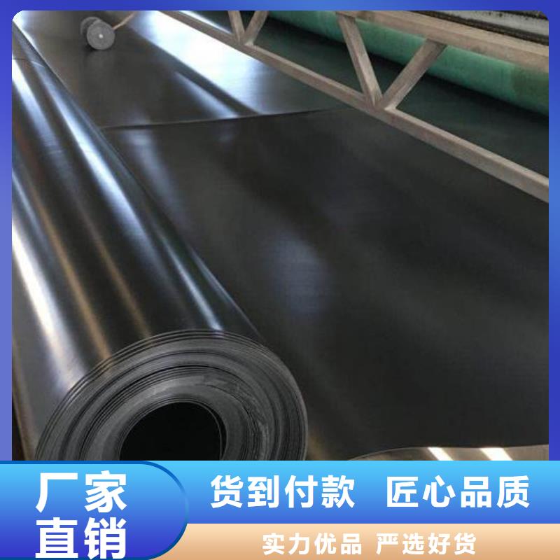 土工膜钢塑土工格栅专注细节更放心