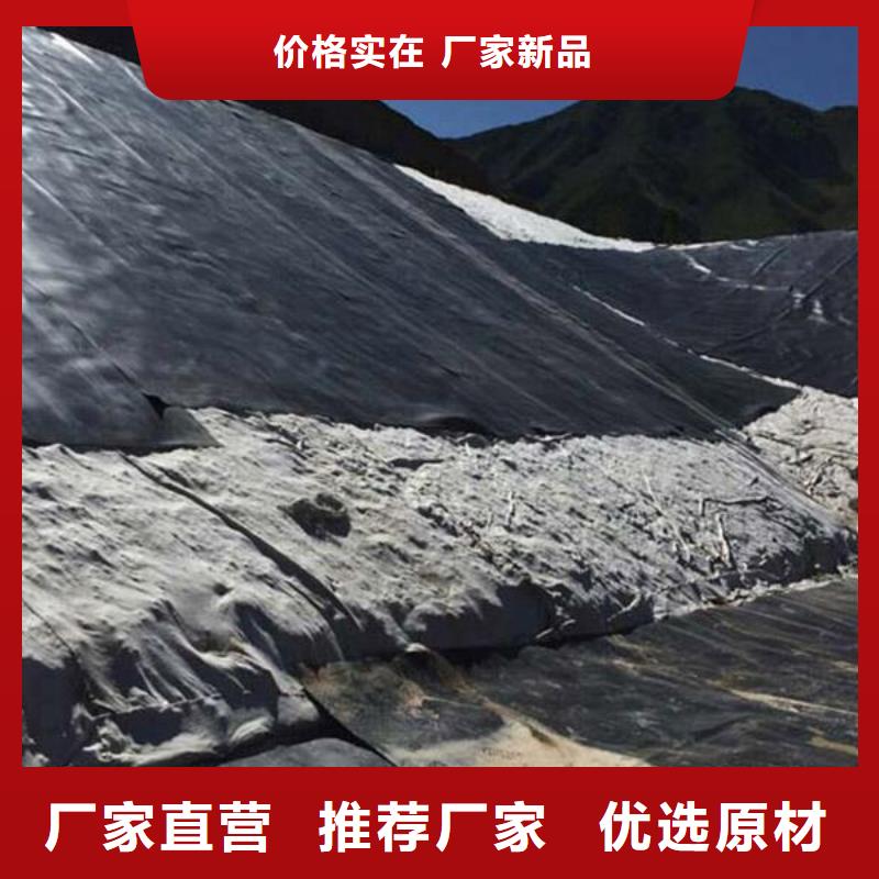 【土工膜三维土工网垫支持货到付清】