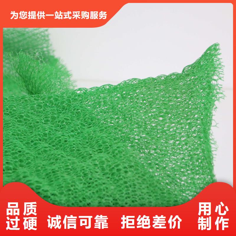 三维植被网_土工HDPE膜专注细节更放心