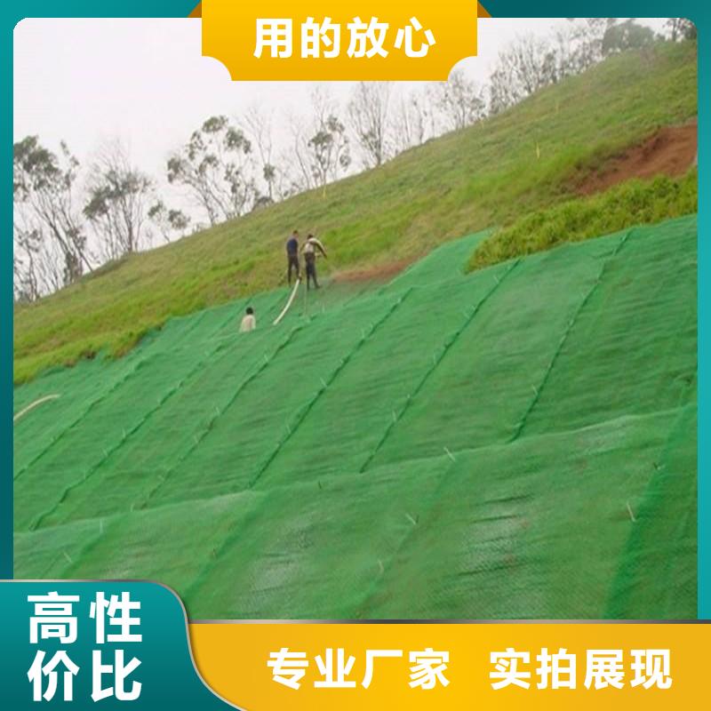 【三维植被网】双向塑料土工格栅精品选购