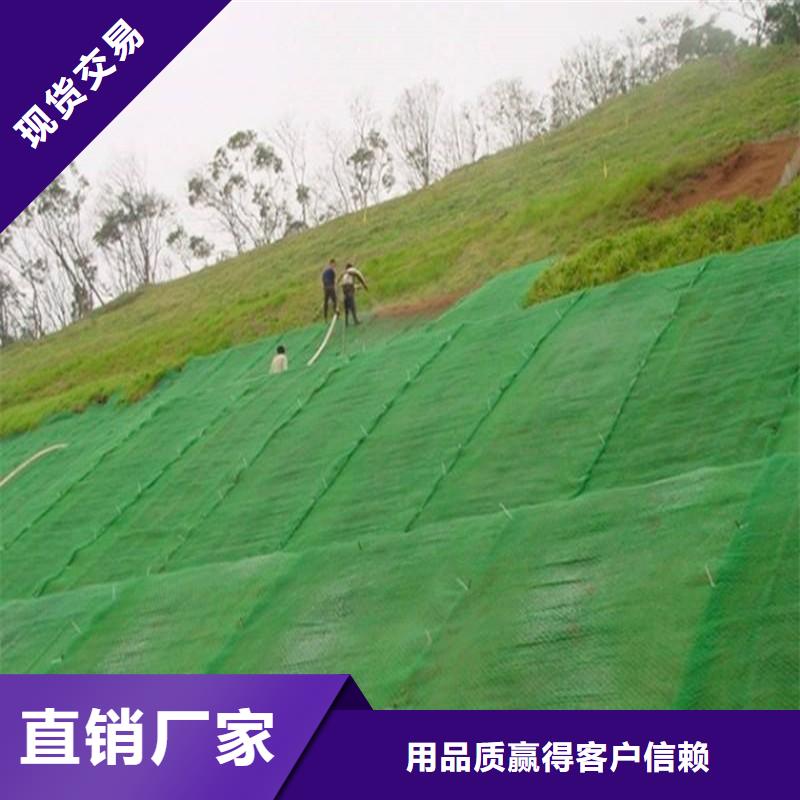 三维植被网-【土工格栅】价格地道