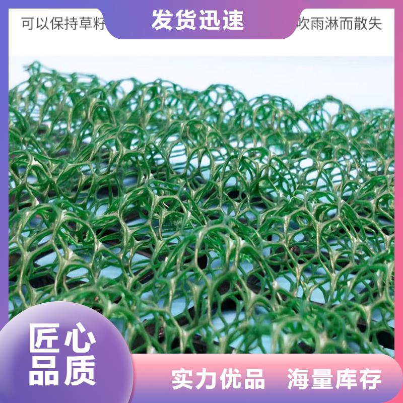 三维植被网塑料土工格栅货源直供