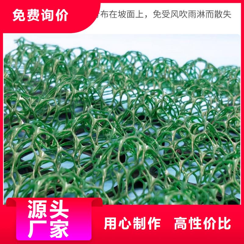 三维植被网【双向土工格栅】专心专注专业