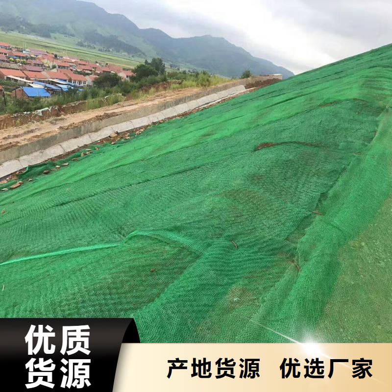 三维植被网,【塑料土工格栅】长期供应-亿路通新材料(铜川市分公司)