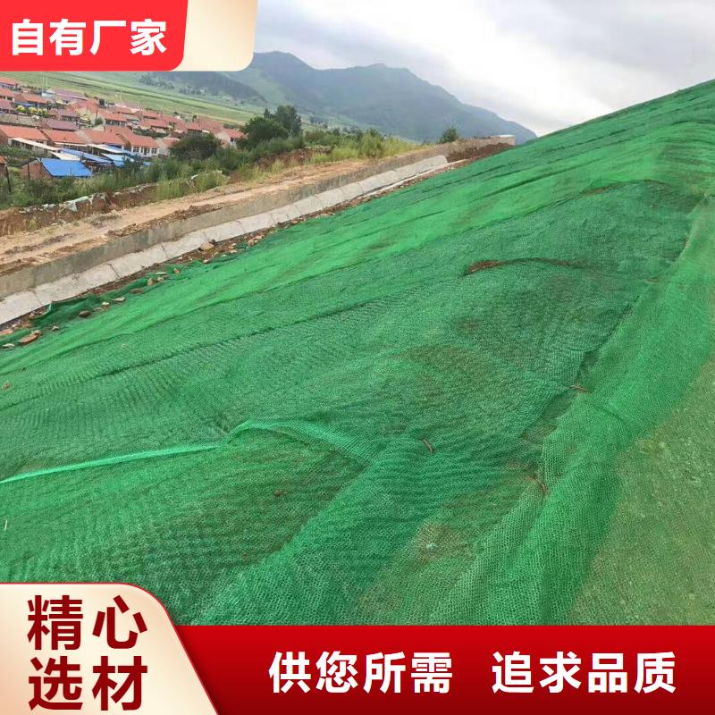 三维植被网-【土工格栅】价格地道