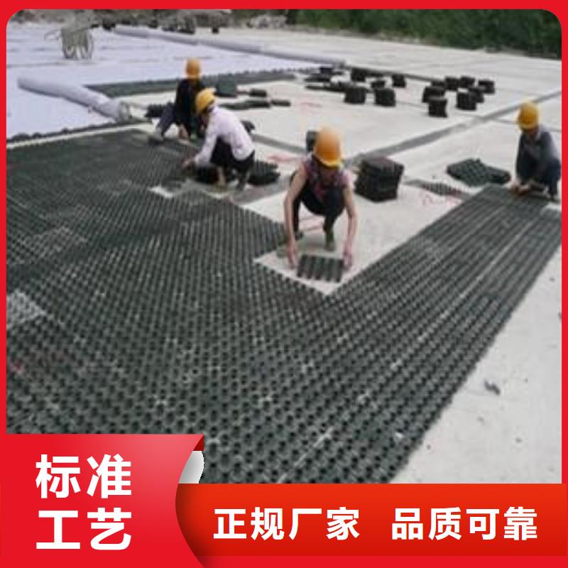 塑料排水板单向塑料土工格栅海量现货