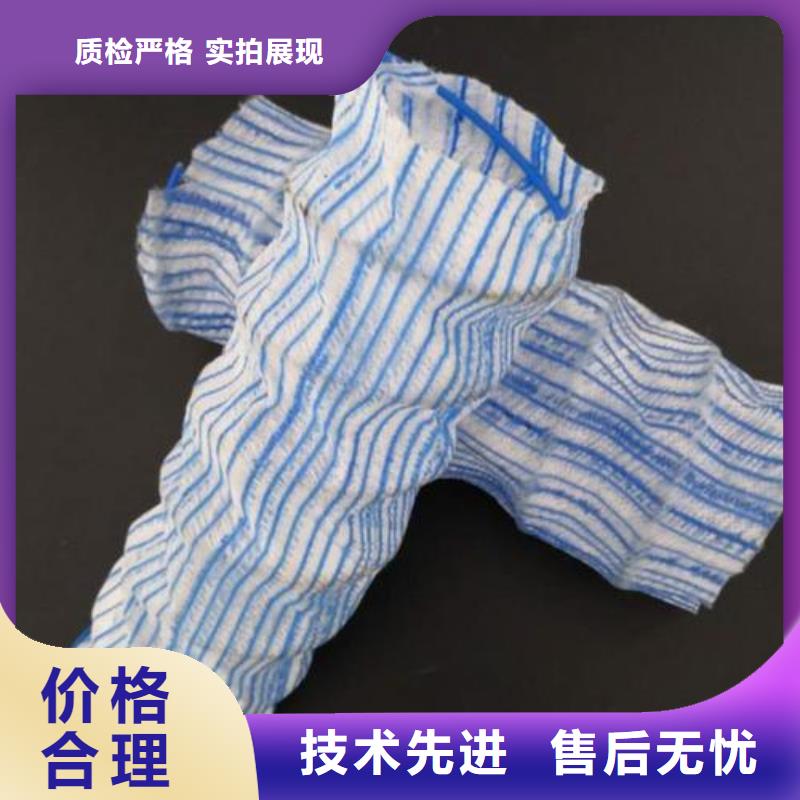 双向塑料土工格栅视频-双向塑料土工格栅_山东省德州市市场覆盖乐陵|临邑|烟台|聊城|济宁|威海|滨州等