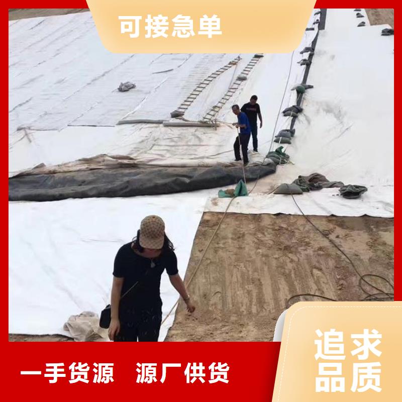 三维复合排水网玻纤土工格栅源头工厂量大优惠