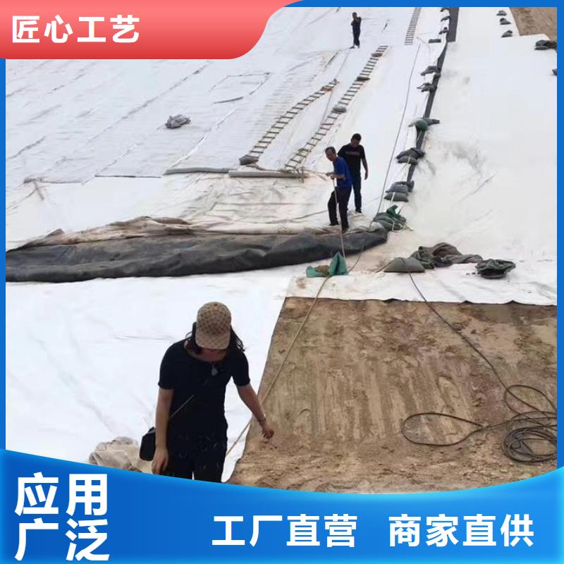 三维复合排水网塑料土工格栅专业完善售后