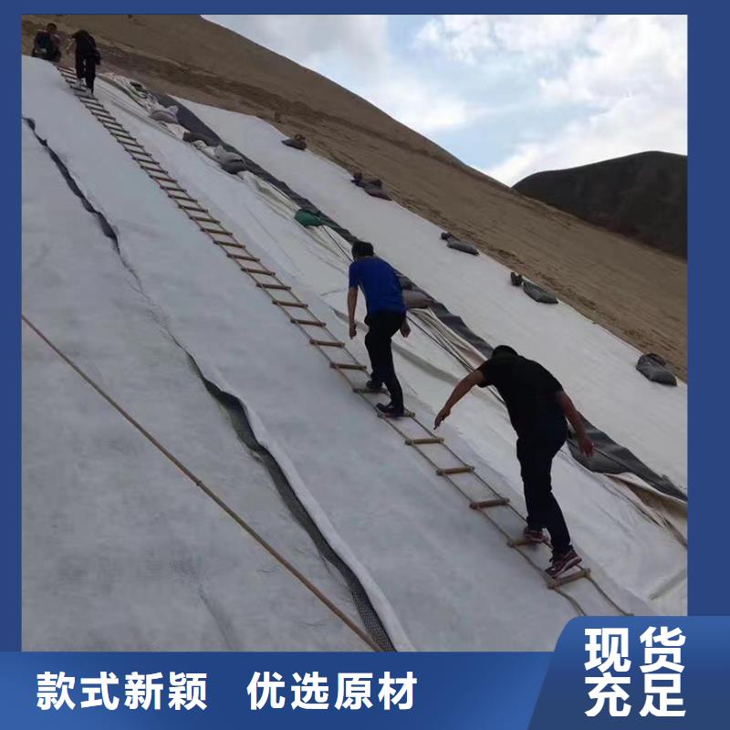 三维复合排水网凸结点钢塑土工格栅实力工厂