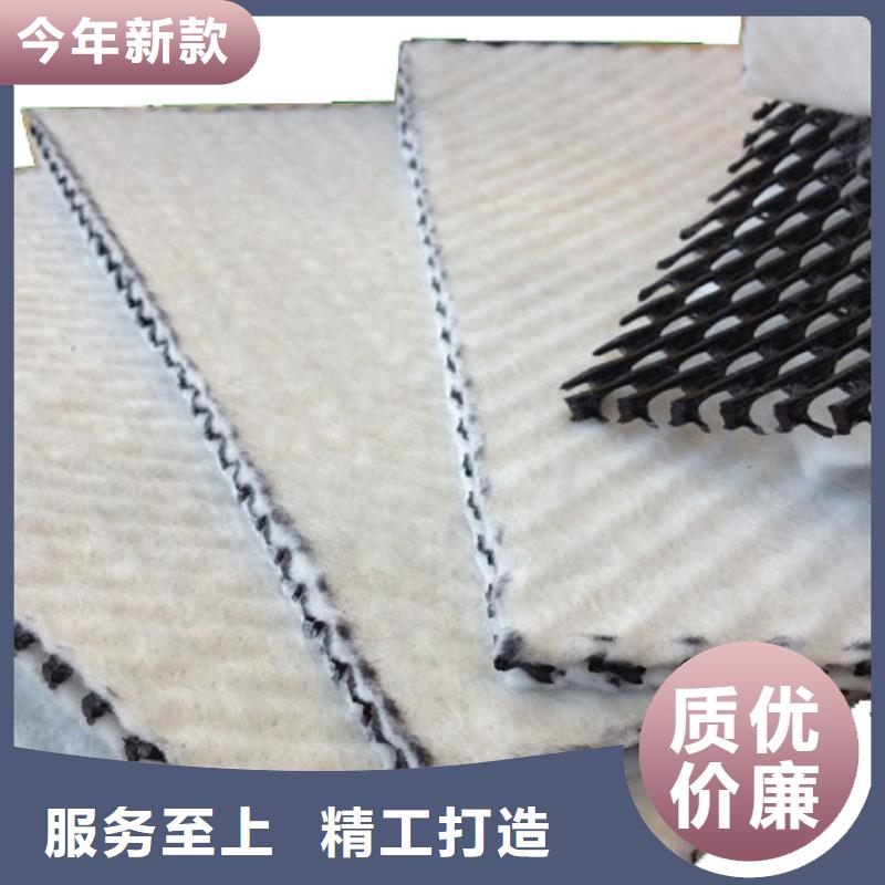 【三维复合排水网】-塑料土工格栅就近发货