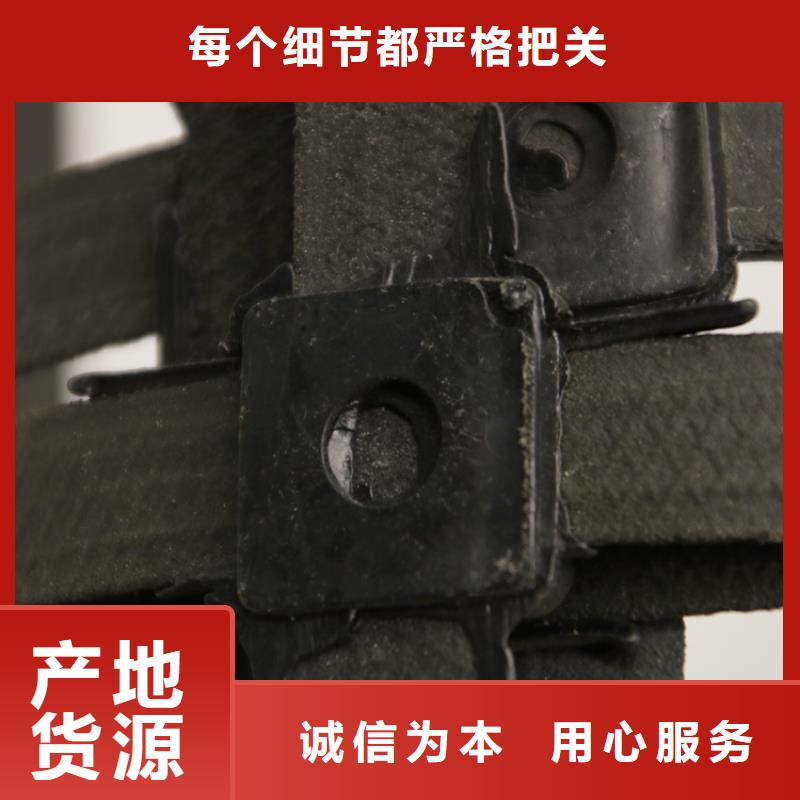 钢塑土工格栅_盖土防扬尘可放心采购