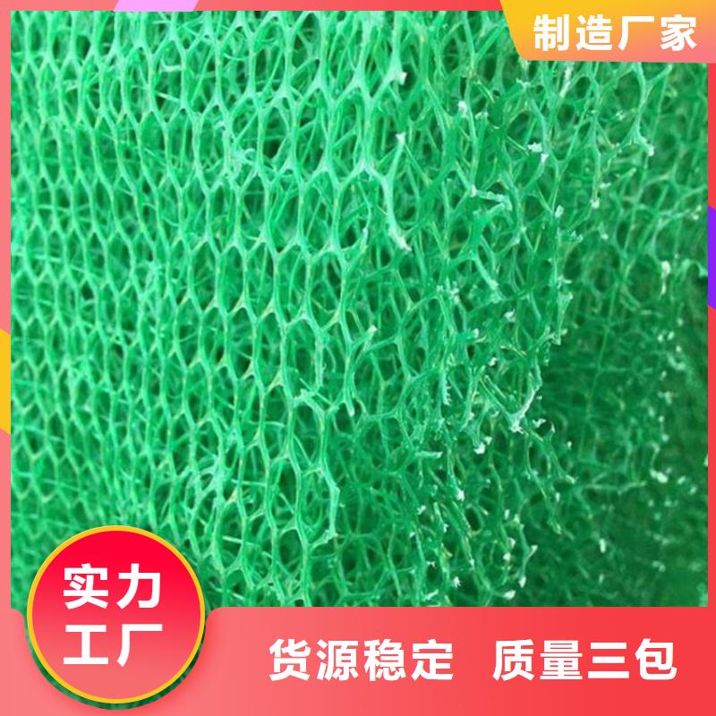 三维植被网_反滤排水海量货源