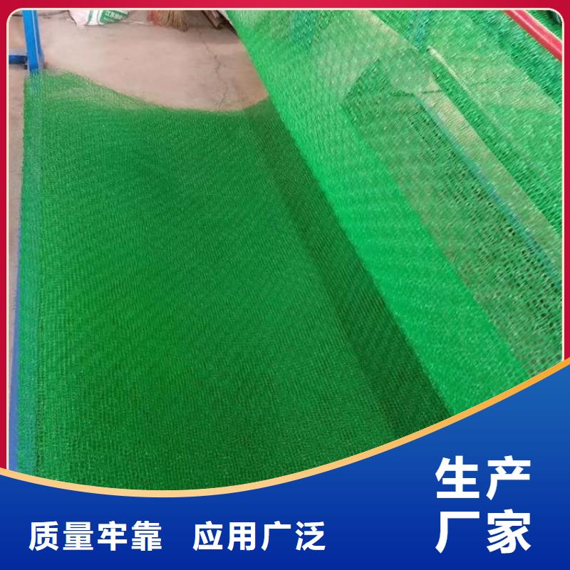 三维植被网防尘无纺布厂家实力大