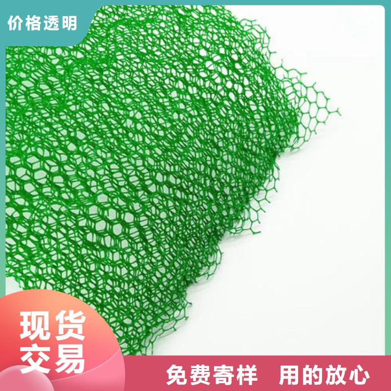 三维植被网复合土工膜实拍品质保障