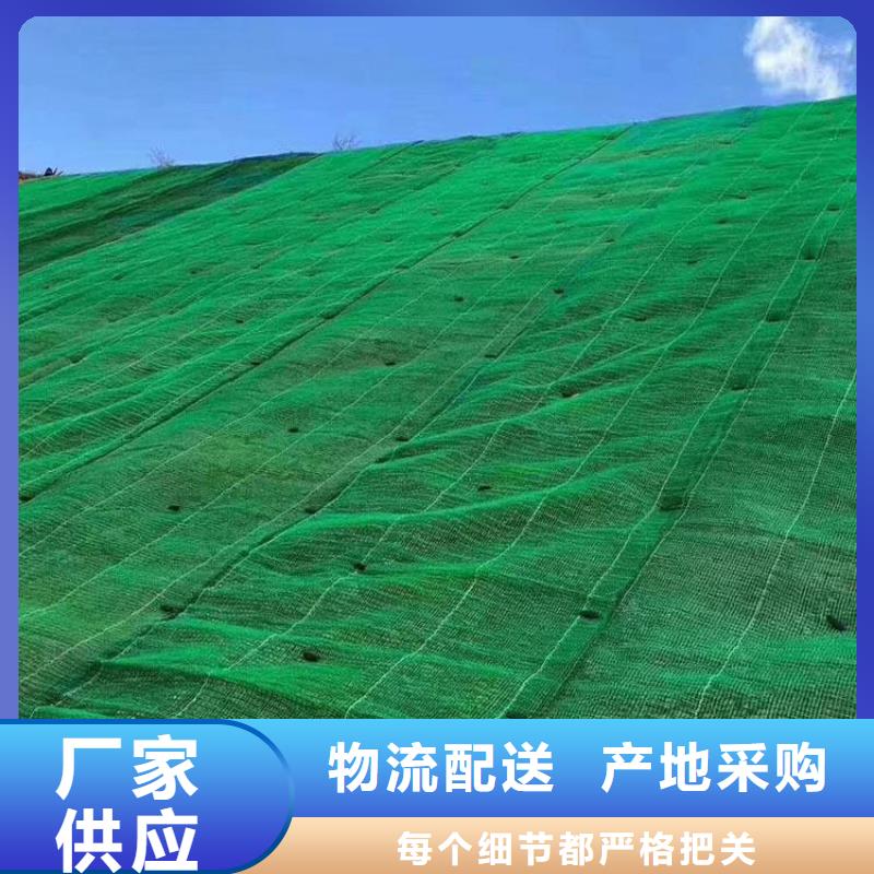 三维植被网凸结点钢塑土工格栅好产品有口碑