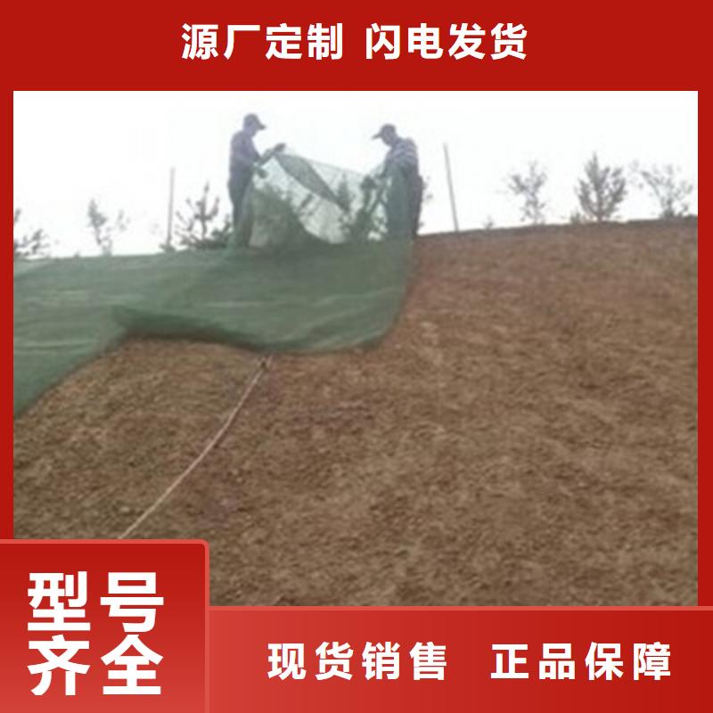 三维植被网单向塑料土工格栅实力雄厚品质保障