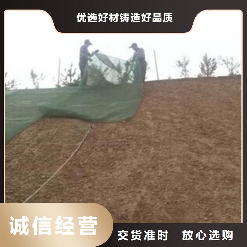 三维植被网土工格室源厂定制